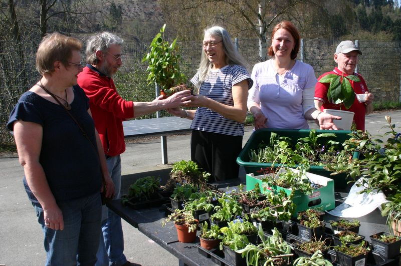 Eine Pflanze gegen die andere: die 1. Pflanzentauschbörse in Ütterlingsen