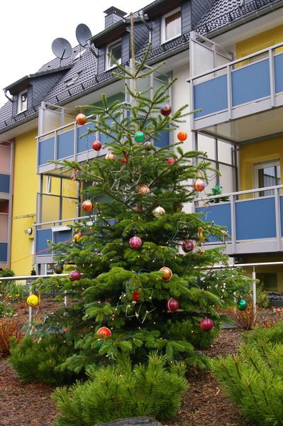 Der Weihnachtsbaum vor dem NHZ